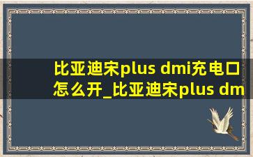 比亚迪宋plus dmi充电口怎么开_比亚迪宋plus dmi充电口卡扣断了